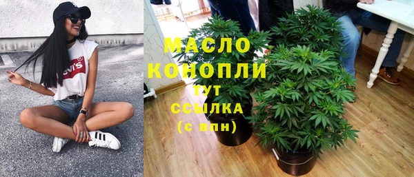 2c-b Каменка