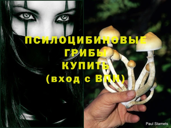 бутират Каменск-Шахтинский