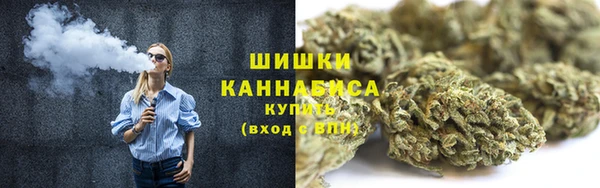 2c-b Каменка