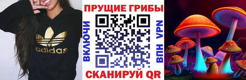 Галлюциногенные грибы GOLDEN TEACHER  Купить  Ростов 
